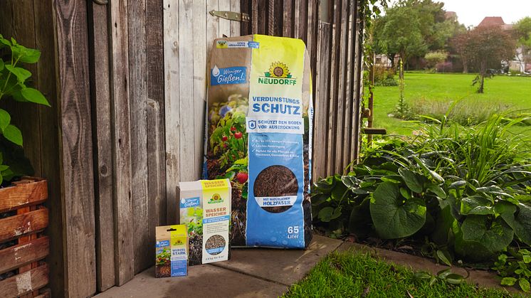Mit Neudorffs Wasserspar-Konzept bleibt mehr Wasser im Boden. Damit überstehen die Pflanzen Trockenzeiten deutlich besser.
