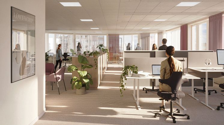Interior concept of Dermarome's office space