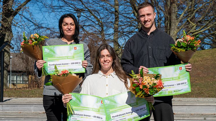 Från vänster: Samar Hadeleus, Erika Ek och Albin Carlsson.