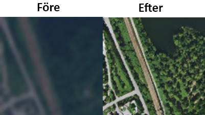 Kan AI och satellitdata hjälpa oss att upptäcka hot mot biologisk mångfald?