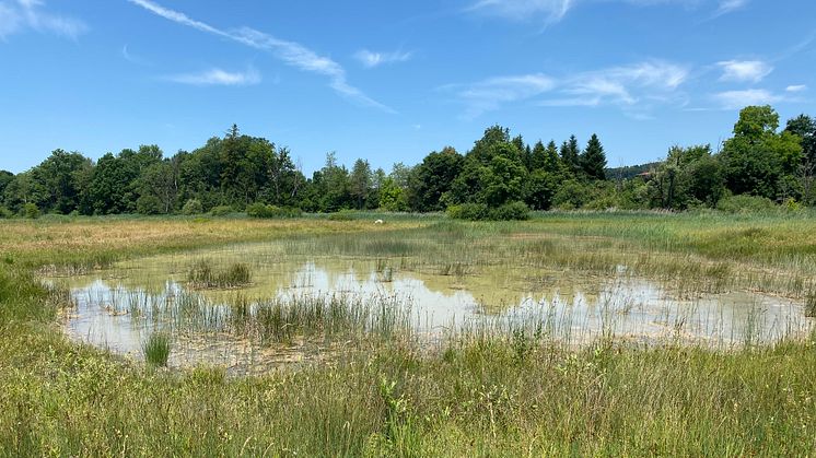 Naturschutzgebiet Hechtenloch bei Münsingen
