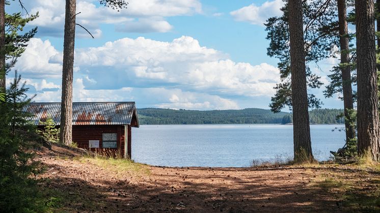 I Dalarna finns en mängd sommaraktiviteter från bad till guidade natur- och kulturupplevelser. På bilden, utsikt mot stranden vid Närsjö i Nås. Foto: Anna Holm, Visit Dalarna.