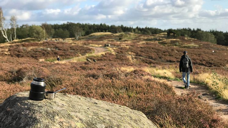 Ljunghed i Änggårdsbergen. Foto: Länsstyrelsen. 