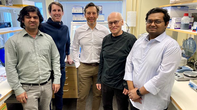 The Omnio staff in Umeå: Praveen Pandey, R&D, Henrik Bergdahl, CFO, Felipe Velasquez, CEO, Tor Ny, Head of R&D, and Suprovath Sarker, R&D.