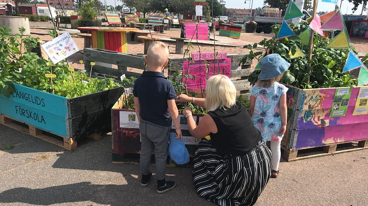 Bild från tidigare år. I år står barnens blomlådor på Norra kajen. 