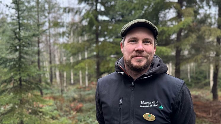 Så får du pynta hållbart i jul – vad gäller i skogen?