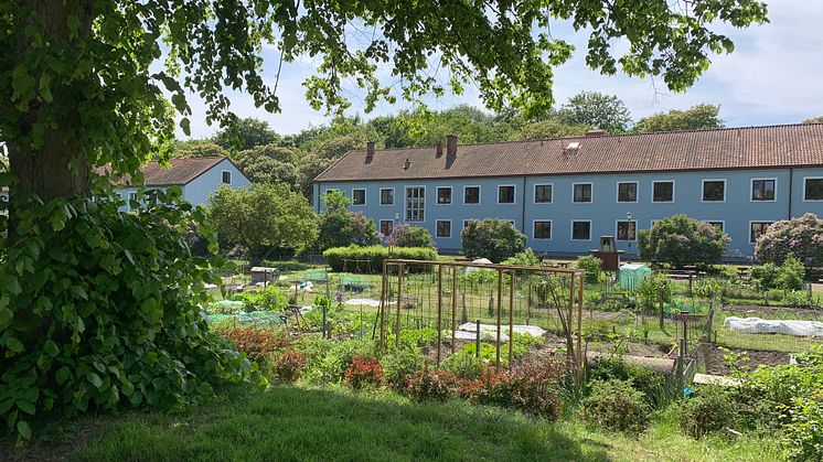 Ett av de bevarade 30-talshusen i det lummiga bostadsområdet Sege Park i Malmö.