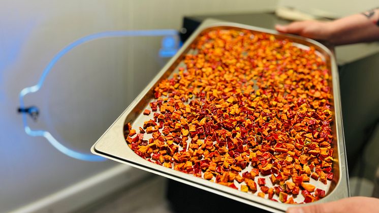 Frystorkad paprika