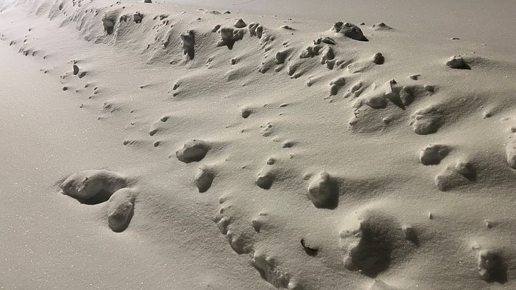 Fredag kan det komme mye snø, og Ruter ber reisende om å beregne god tid. 
