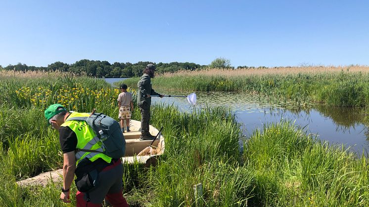 BioBlitz i Valstasjön, Hallstahammar