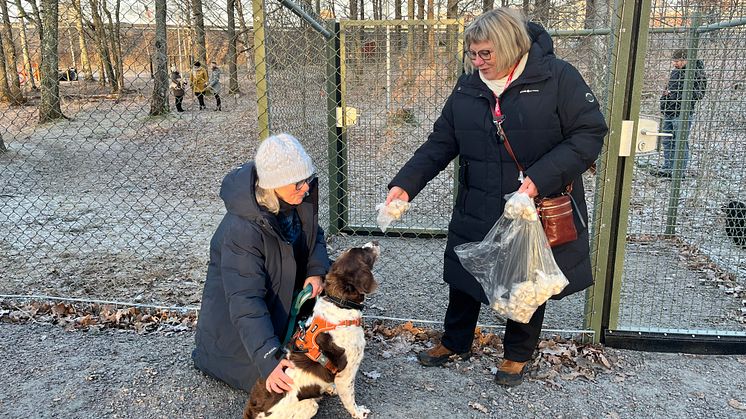 Marianne Fröding, samordnare på Karlstads kommun, delar ut godis till hunden Duke och matte Christel Nilsson som var med och premiärtestade den nya hundrastgården.