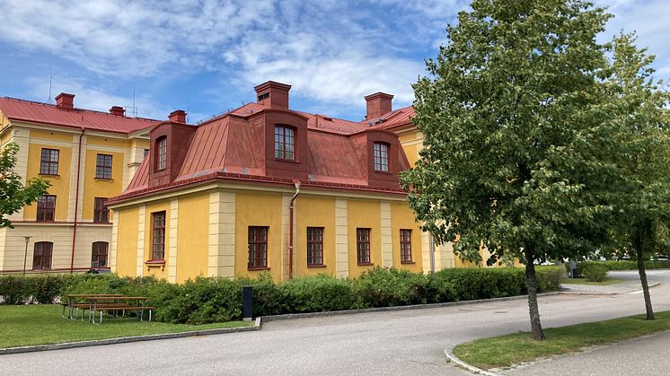 Callunas nya kontor i Uppsala erbjuder, liksom företaget i stort, en rad miljökonsulttjänster med fokus på biologisk mångfald och miljöövervakning. Foto: Tove Adelsköld.