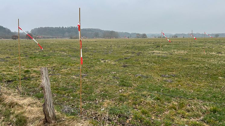 Vergraemungsmassnahme_Bad_Bramstedt_Osterau.jpg