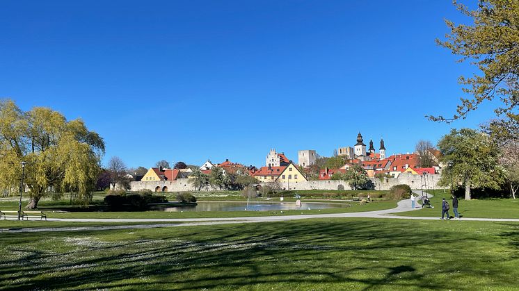 Spännande AI-mätningar av besökarnas rörelser under Almedalsveckan