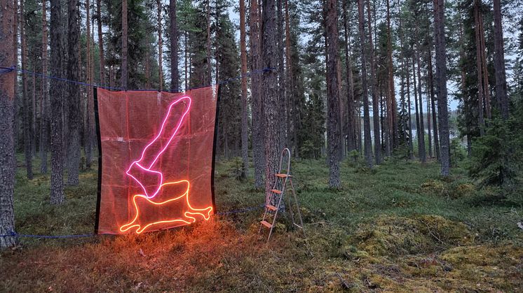Knock on Wood, Shirley Holmberg. Visas av Jädraås Folkets Hus i utställningsprogrammet I samlad rörelse, 2025. Foto: Shirley Holmberg