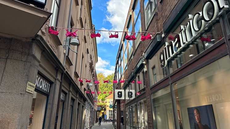 Strömgränden i Helsingborg pryds av rosa bh:ar under Rosa Oktober för att påminna folk att gå och testa sig för bröstcancer.