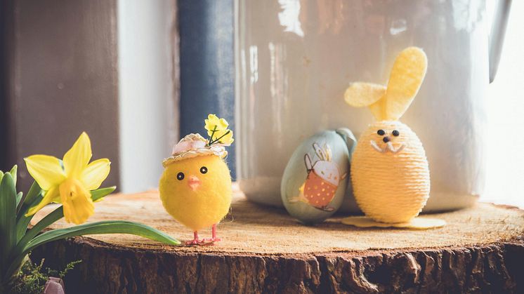 Was der Osterhase heuer bringt: Schlaue Füchse, leichte Nester – und echte Preisvorteile für Familien in ganz Österreich
