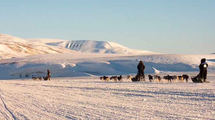 Hundekjøring er en av aktivitete som møter utfordringer når klimaet på Svalbard endrer seg. Foto: Håkon Daae Brenshom / Visit Svalbard / nordnorge.com