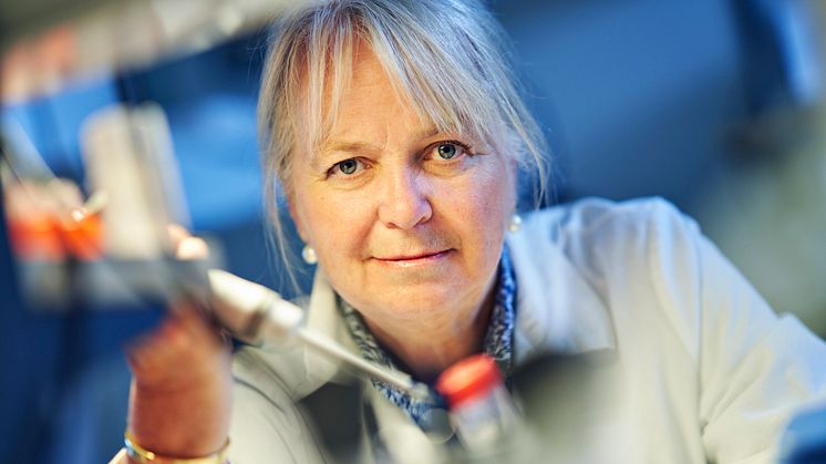 Gunilla Westergren-Thorsson, professor vid Lunds universitet.