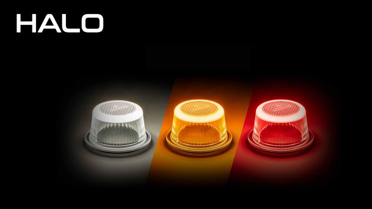 Halo Pressrelease MND.jpg