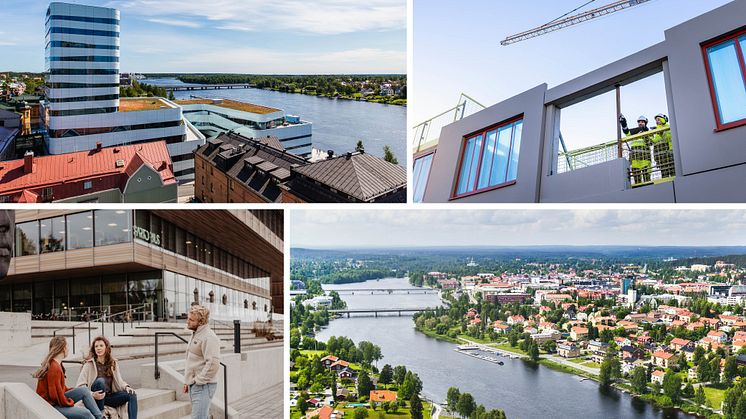 Överst från vänster: Fredrik Larsson, till höger: Johnér, nere till vänster: Matilda Audas Björkholm, nere till höger: Skellefteå kommun. 