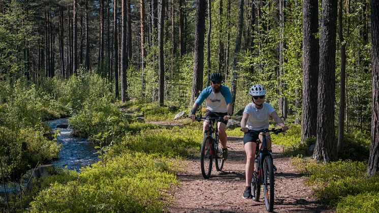 In the Dalarna region you will find some of the best trails Sweden has to offer. Photo: Anna Holm, Visit Dalarna.