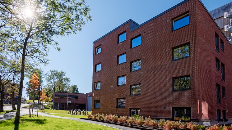 Sit har en lang historie med å ta vare på studentboligene sine, som blant annet her ved Moholt allmenning i Trondheim. Med de nye reglene blir det enklere å rehabilitere gamle bygg. Foto: Sit