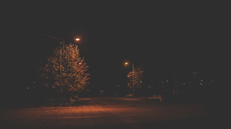 Belysning är den viktigaste åtgärden för att skapa trygghetskänsla i utemiljön enligt en ny undersökning.