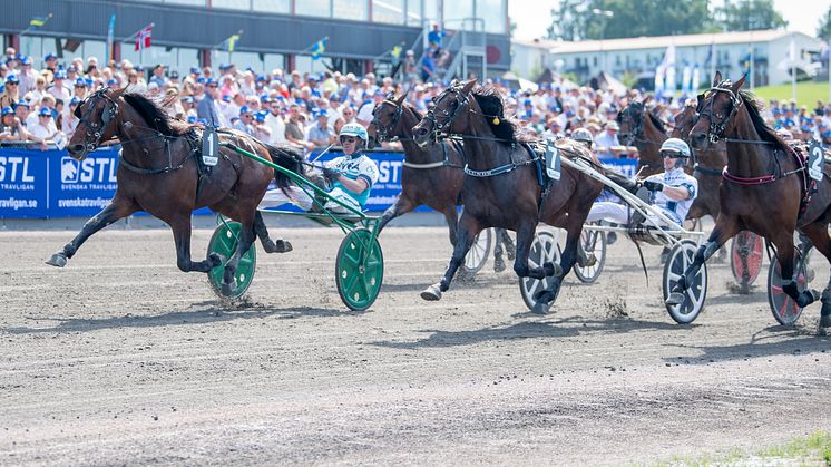 STL Sommartrav i Halmstad. Foto: Mikael Rosenquist, TR Bild