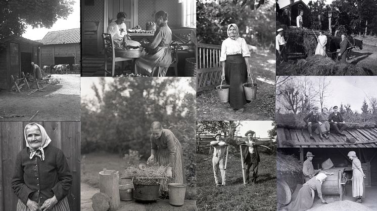 Fotografier som berättar om vardagen i Stensjö by i Småland under tidigt 1900-tal har digitaliserats och är nu tillgängliga för allmänheten via Digitalt Museum. Foto: Erik Stensiö, Kungl. Vitterhetsakademien.