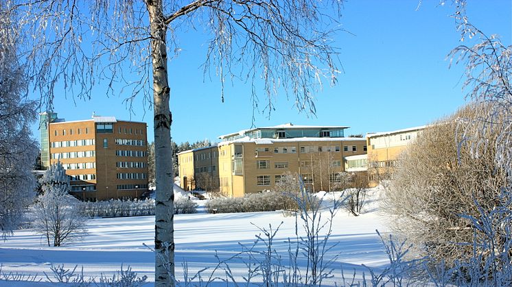 2, 4 miljoner kronor till Umeå universitet för barnonkologisk forskning
