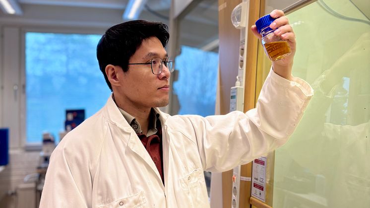 Van Minh Dinh in the lab at the Department of Chemistry, Umeå University. Photo: Huton Nguyen