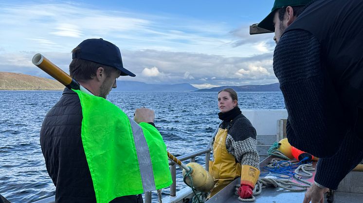 Foto: Kari-Anne Johansen, Norges sjømatråd