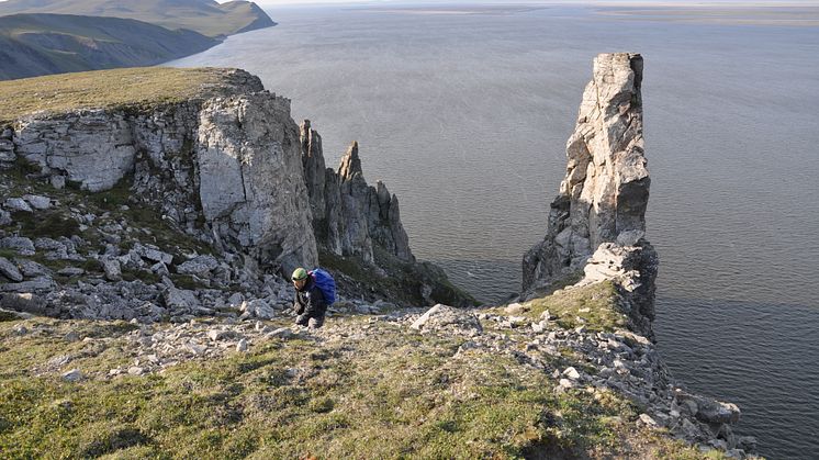 A member of the research team at the Taba-Ba’astakh cliffs in Siberia (credit Sasha Osinzev)