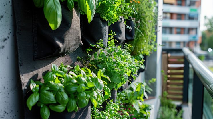 Wie Sie ihren Balkon & Garten für das Frühjahr fit machen