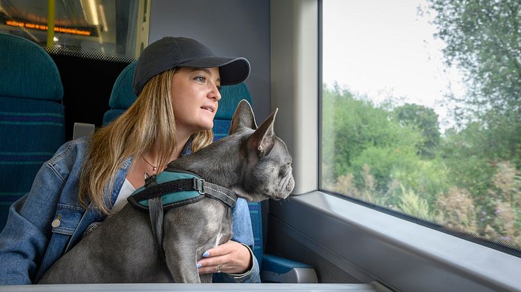 Let the dogs out! UK’s largest rail company launches travel guide to help city canines explore beaches and countryside