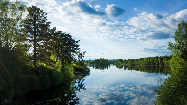 Länsstyrelsen vill bjuda in till fördjupad dialog om strandskyddet 