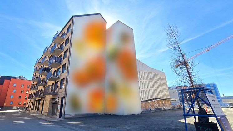 Unikt konstverk i centrala Kristianstad