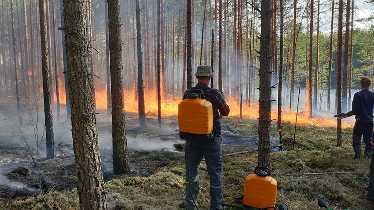 bränning-örebro-foto-peter-post.jpg