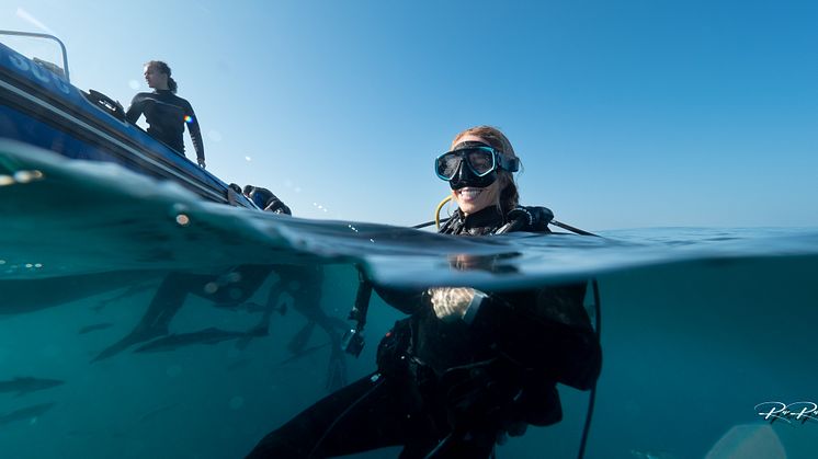 Scuba Travel storsatsar på dykresor till Sydafrika