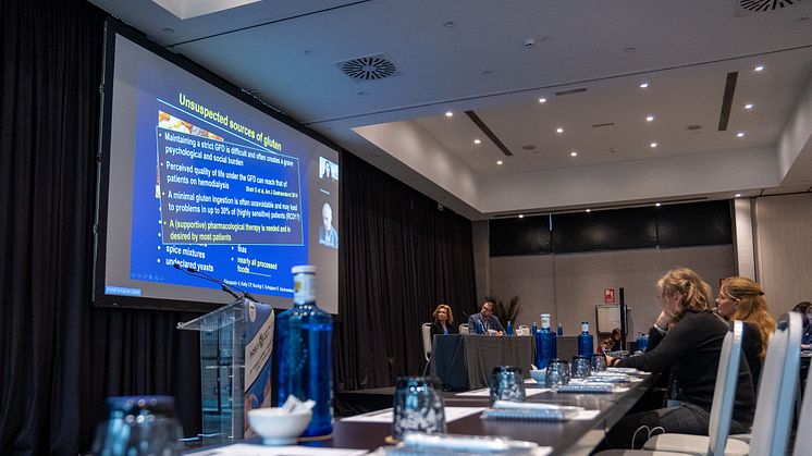 Professor Detlef Schuppan's online presentation at the AOECS Annual Conference, 2024