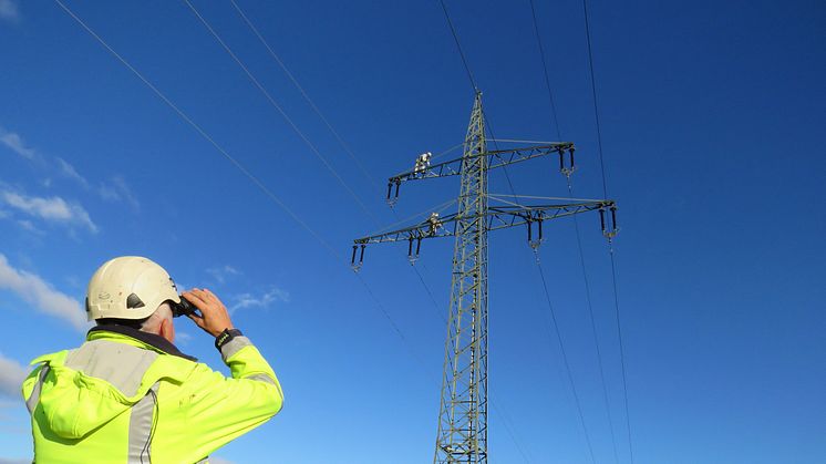 Arbeit in luftigen Höhen: Mitarbeiter einer Fachfirma reinigen im Auftrag der Bayernwerk Netz GmbH einen Hochspannungsmast (Foto: 2020)