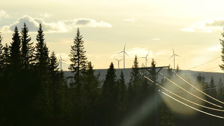 Den totala elproduktionen var hög under året och vindkraft nådde för första gången över 40 TWh. Foto: Sara Ottosson/Mostphotos
