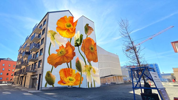 Unikt fasadkonstverk i centrala Kristianstad som om ett antal år monteras ner och flyttas - och blir åtta nya konstverk!