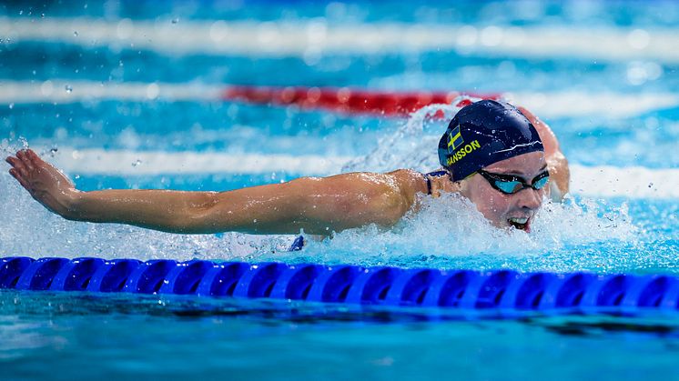 Svensk Simidrott presenterar truppen för kortbane-VM i Budapest – med sikte mot nya framgångar