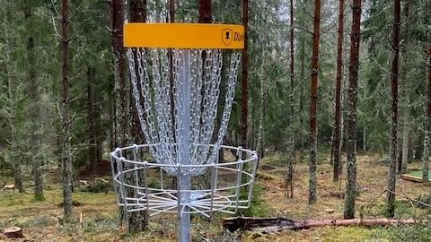 discgolf moheda.jpg