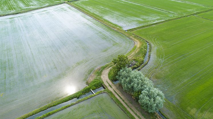 Vinderteam fra Arkitektforeningen og Dreyers Fond: Vi må genovergive os til vandet