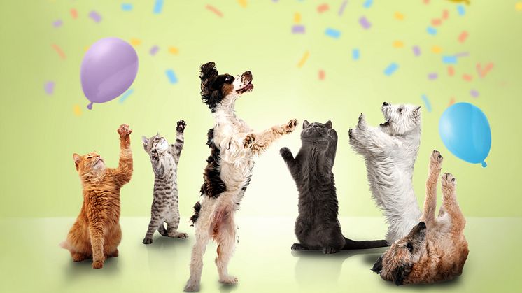 Pfoten hoch, Preise runter - Fressnapf feiert Geburtstag