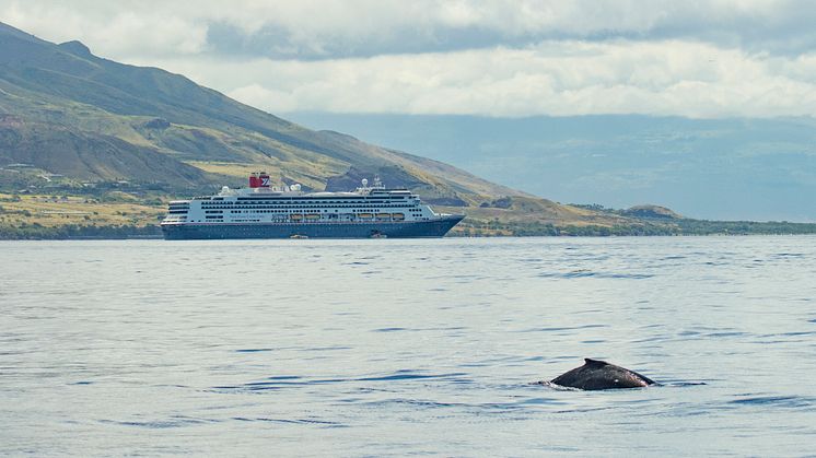 Borealis in Hawaii, where whale watching will be among the highlights of the 2027 Around the World cruise