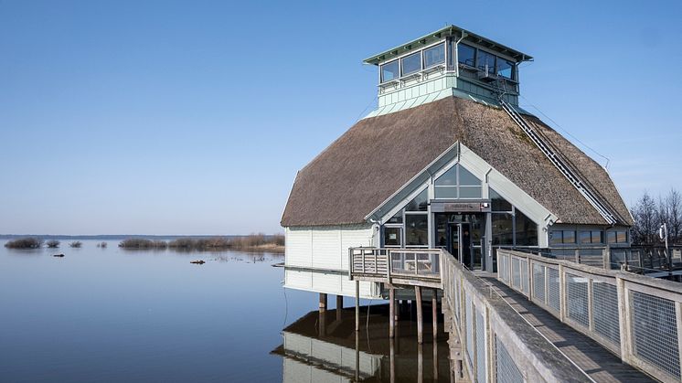 Naturum välkomnar besökare med ett fullmatat program, med aktiviteter för vuxna och barn varje dag. Foto: Länsstyrelsen Västra Götaland.